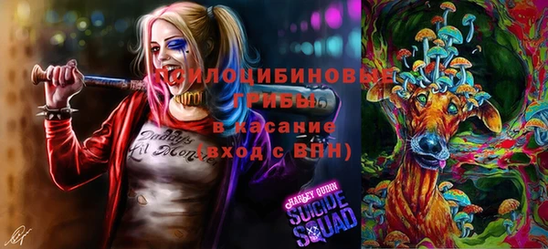 Альфа ПВП Алексин