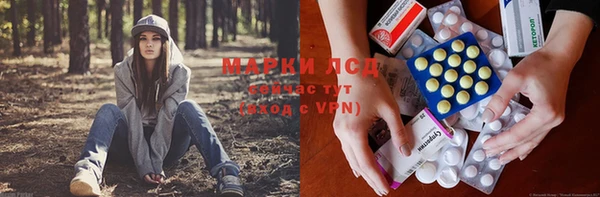 каннабис Алзамай