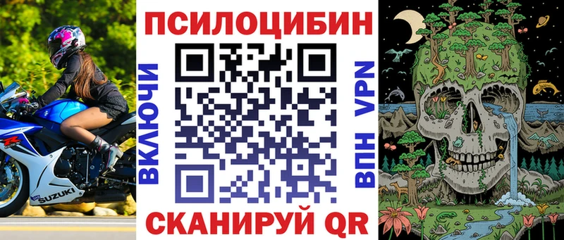Псилоцибиновые грибы прущие грибы  Зеленокумск 