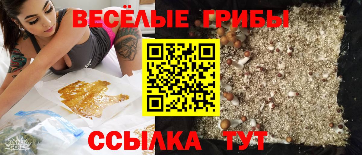 Зеленокумск  Псилоцибиновые грибы ЛСД  Вход с VPN 